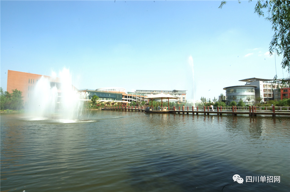 四川城市职业学院2021年单招录取分数线