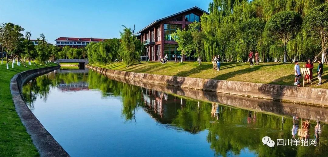 四川大学锦江学院2021年单独招生拟录取分数线