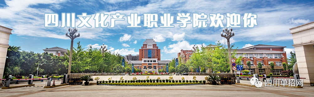 四川文化产业职业学院2022年单招录取分数线