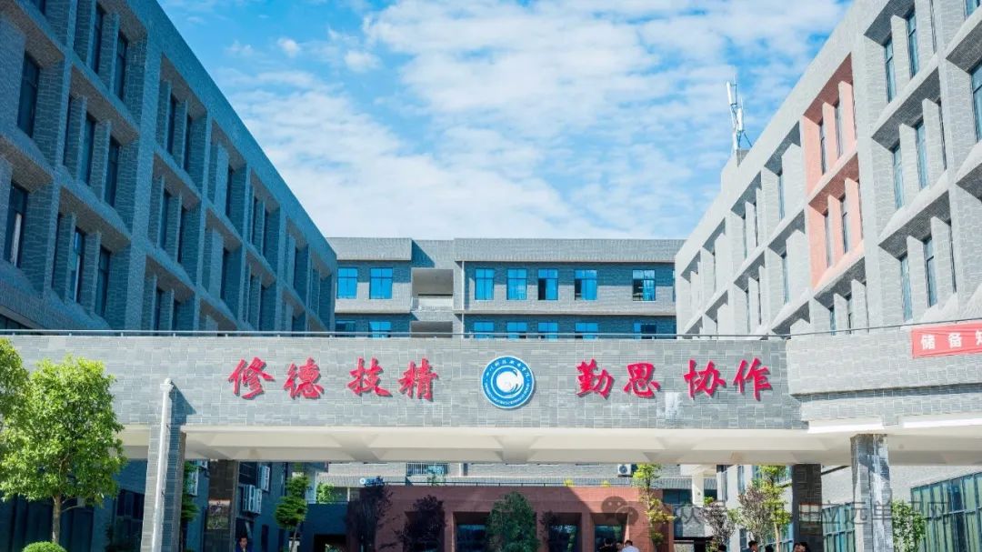 四川科技职业学院2024年单招计划表