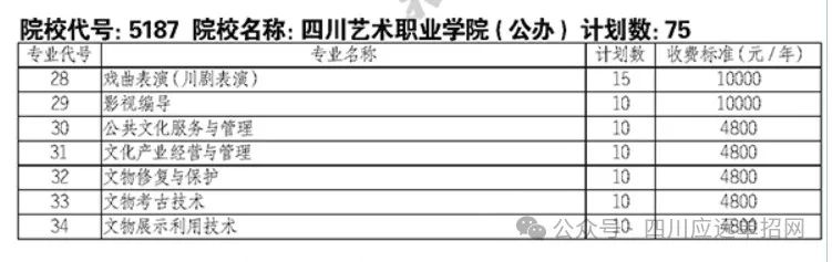 四川艺术职业学院2024年单招计划表